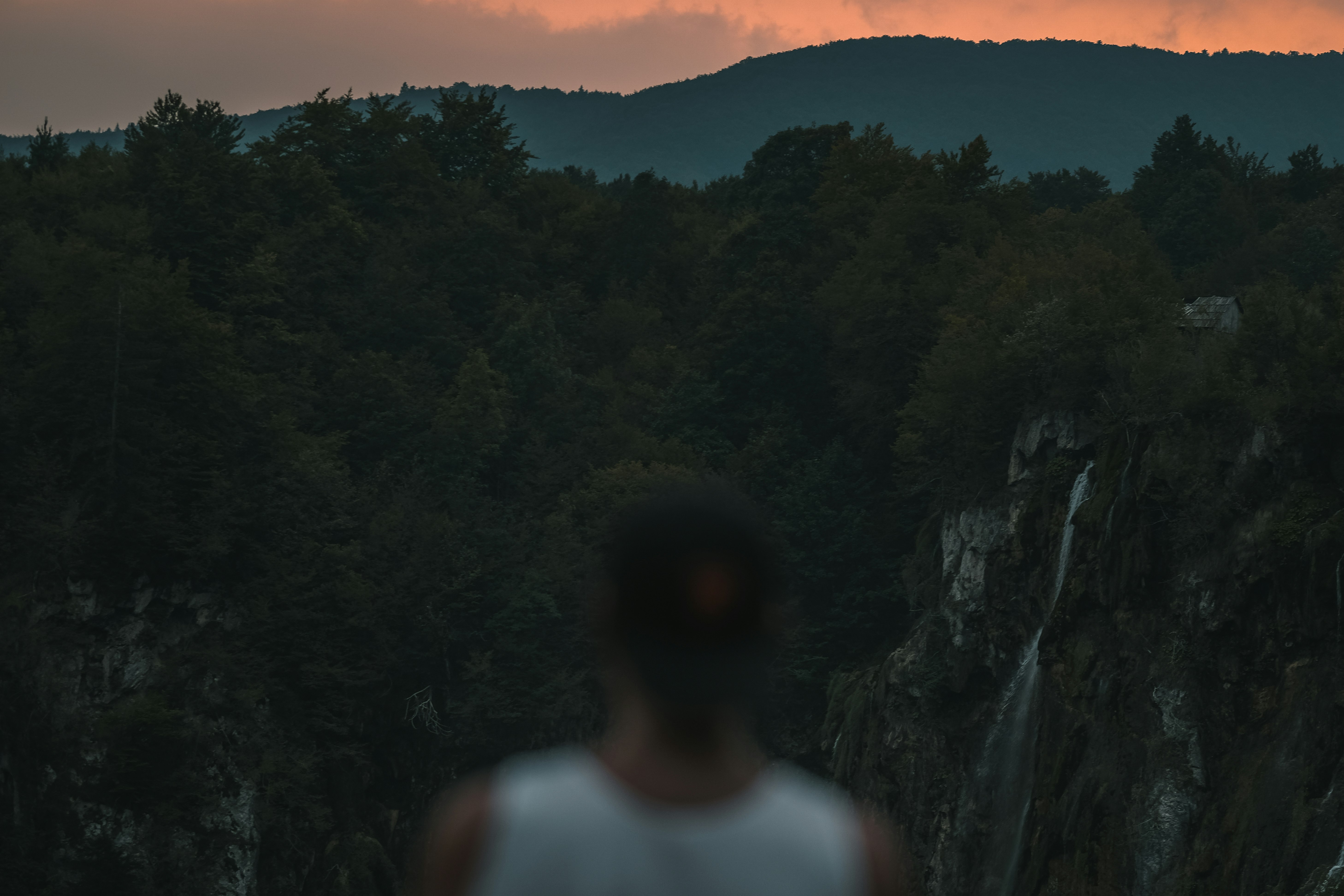 person looking at trees